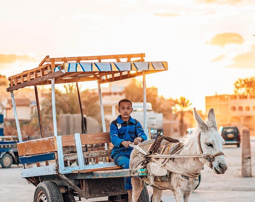 Menjalin Kemitraan Digital untuk Keberlanjutan Desa Gunung