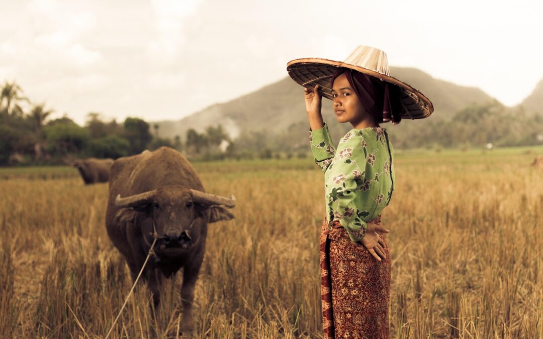 Menyongsong Desa Ramah Lingkungan melalui Digitalisasi